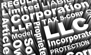 Corporations vs. LLC - Choice of Entity